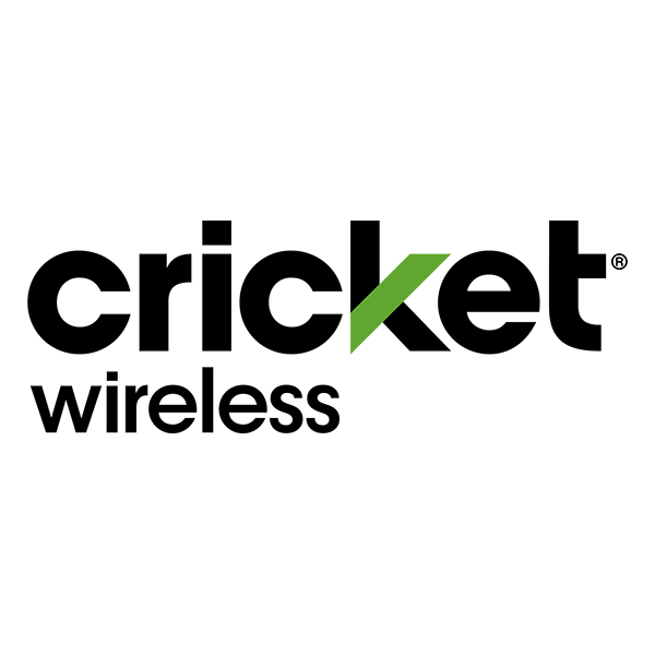 2025_Cricket